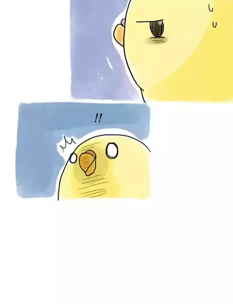 A Budgie's Life Chapter 59: Ep.59: