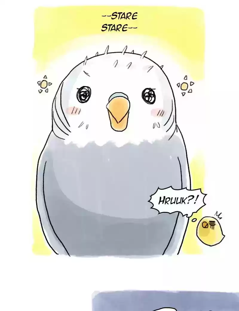 A Budgie's Life Chapter 59: Ep.59: