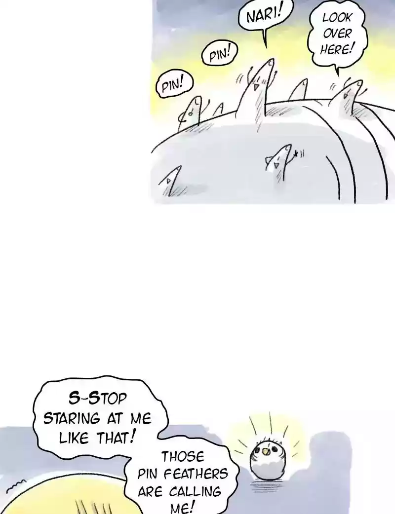 A Budgie's Life Chapter 59: Ep.59: