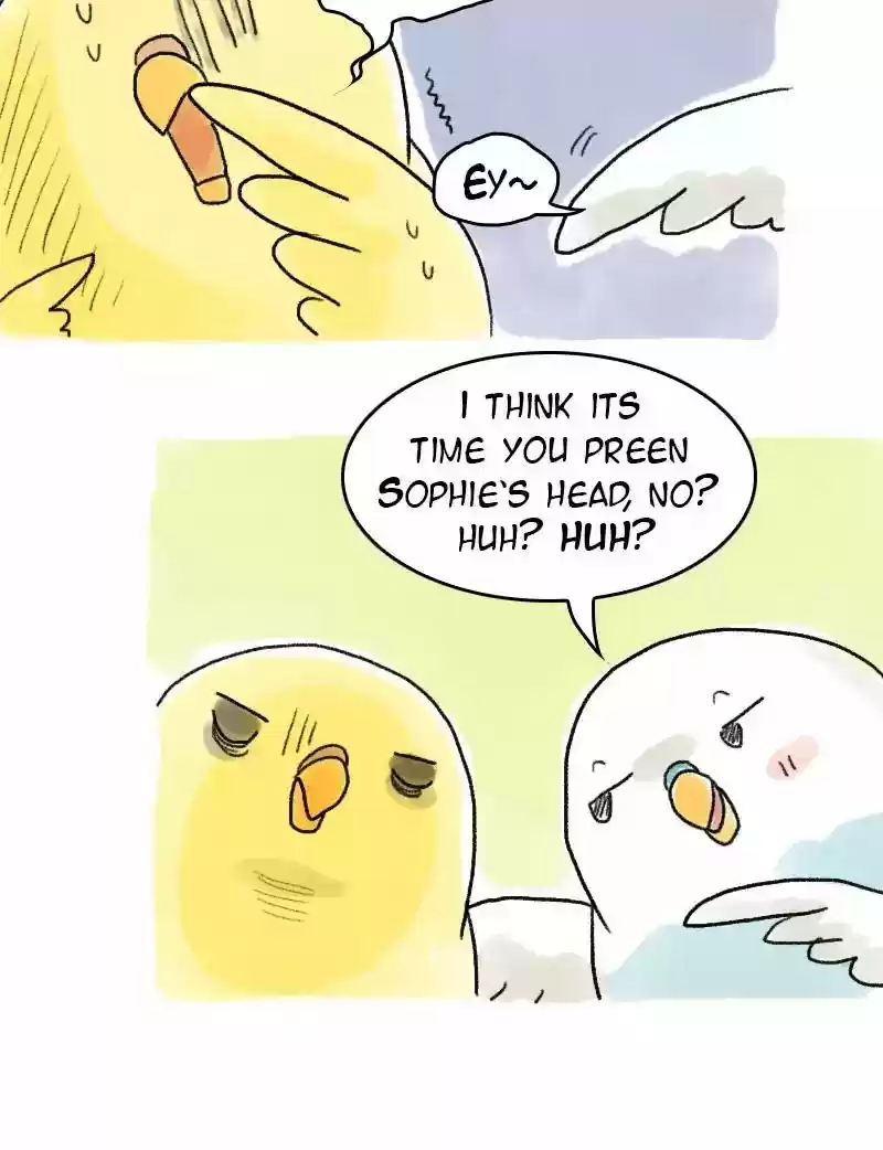A Budgie's Life Chapter 59: Ep.59: