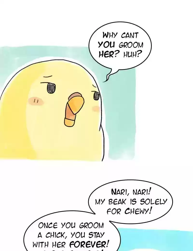 A Budgie's Life Chapter 59: Ep.59: