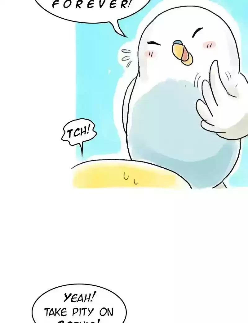 A Budgie's Life Chapter 59: Ep.59: