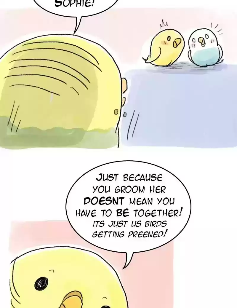 A Budgie's Life Chapter 59: Ep.59:
