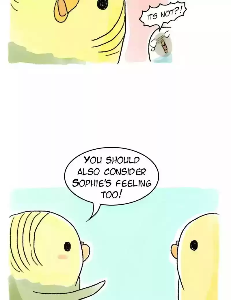 A Budgie's Life Chapter 59: Ep.59:
