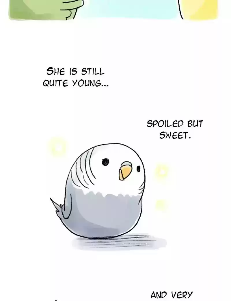 A Budgie's Life Chapter 59: Ep.59: