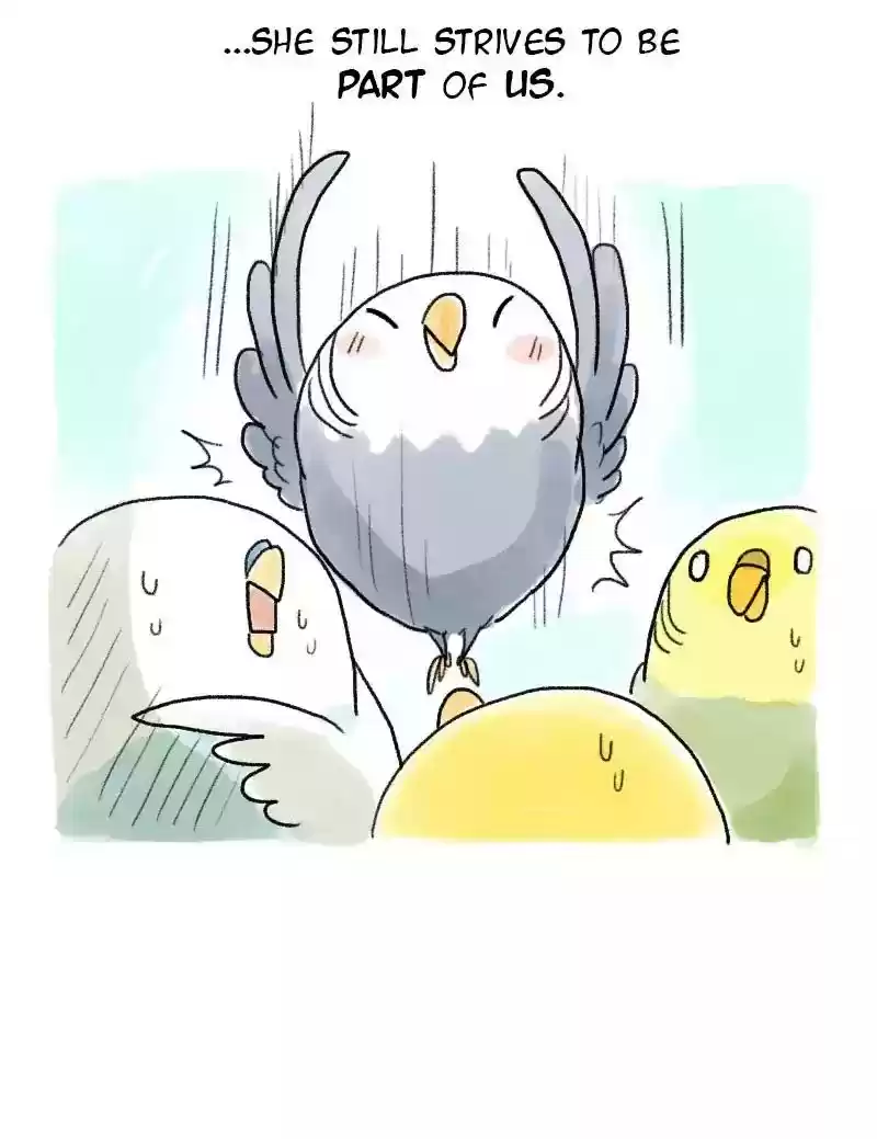 A Budgie's Life Chapter 59: Ep.59: