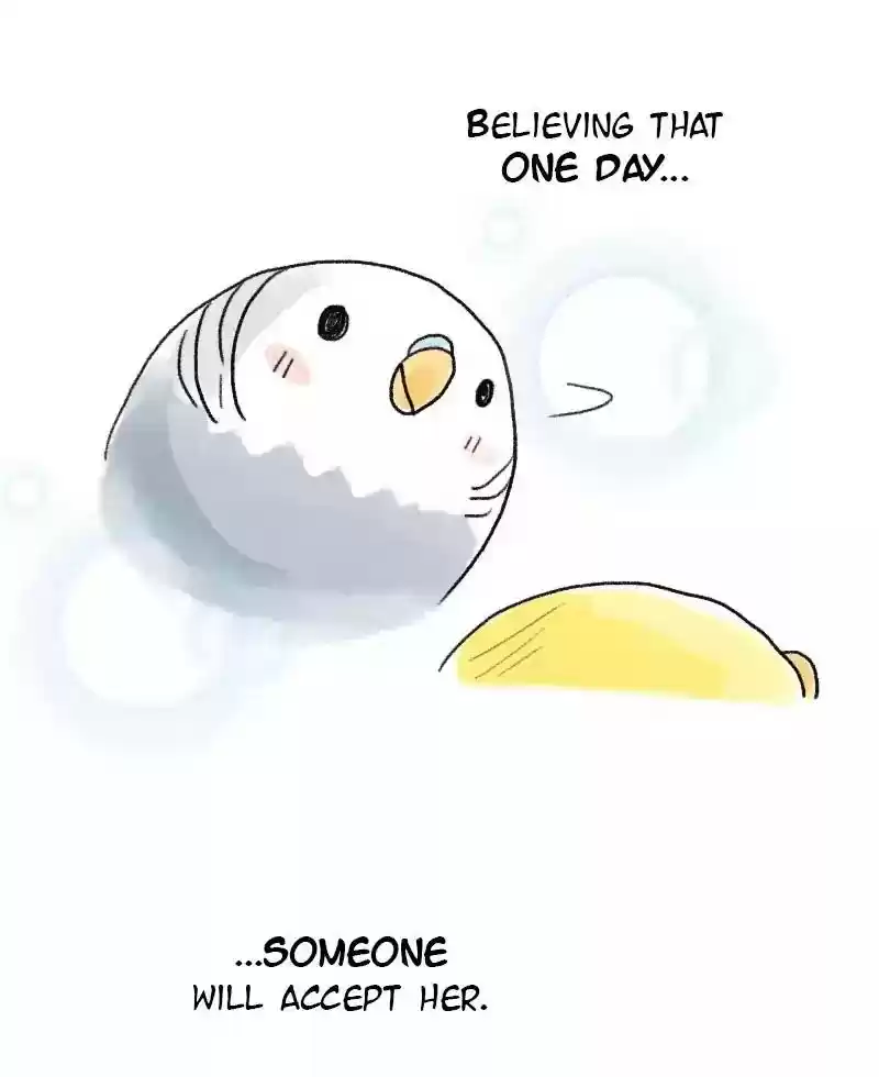 A Budgie's Life Chapter 59: Ep.59: