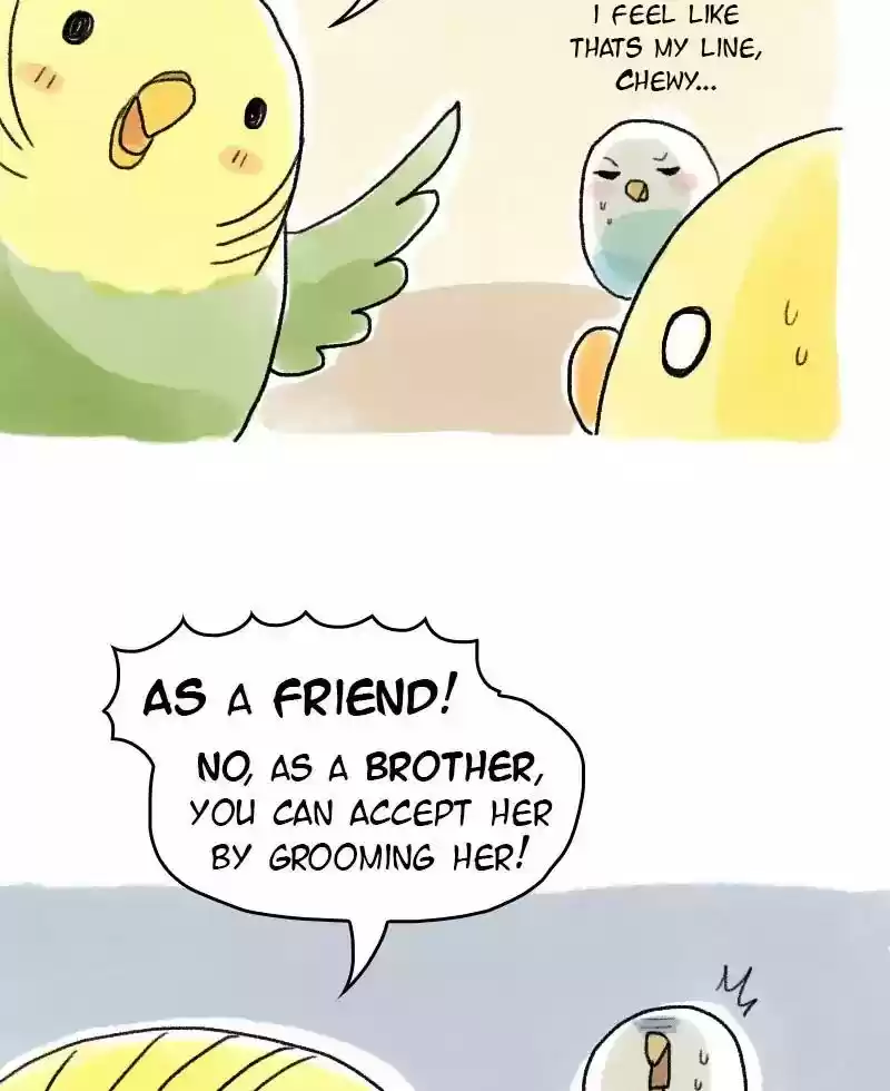 A Budgie's Life Chapter 59: Ep.59: