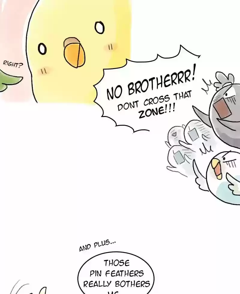 A Budgie's Life Chapter 59: Ep.59: