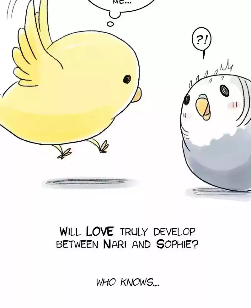 A Budgie's Life Chapter 59: Ep.59: