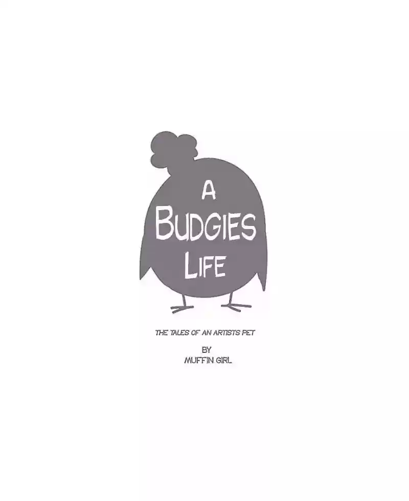 A Budgie's Life Chapter 59: Ep.59: