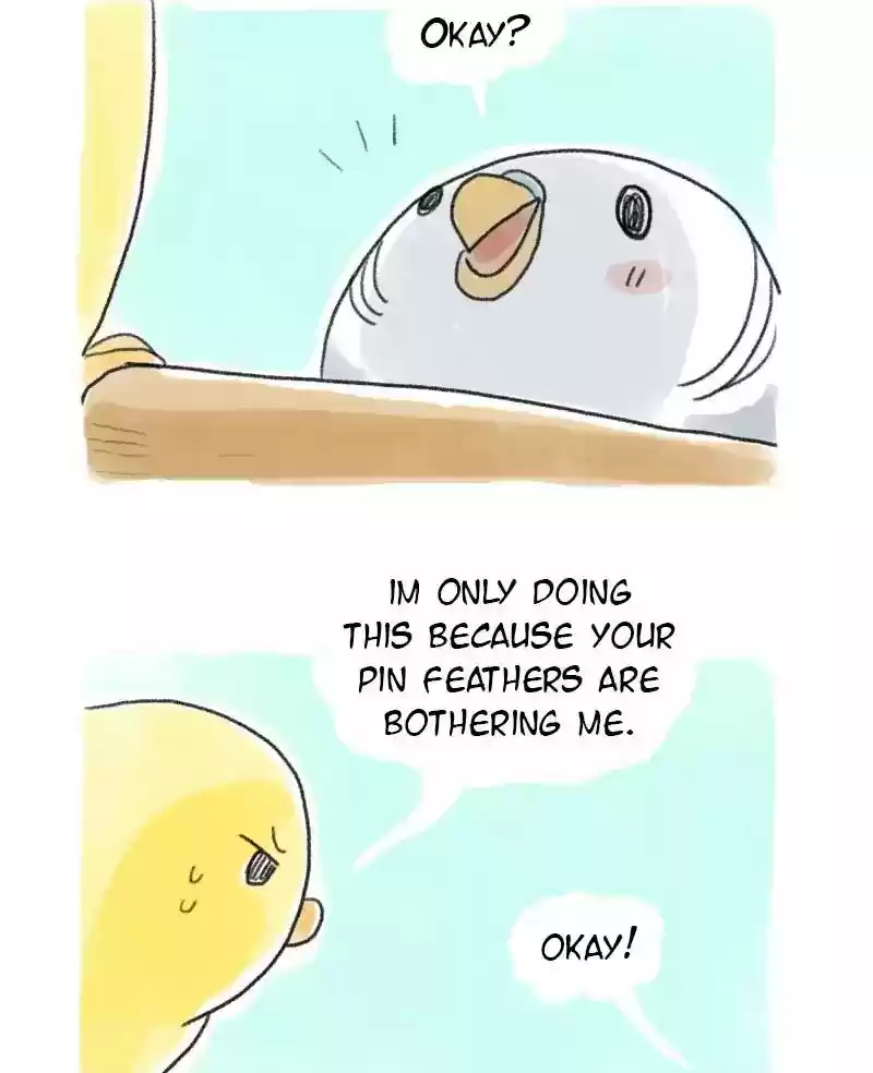 A Budgie's Life Chapter 59: Ep.59: