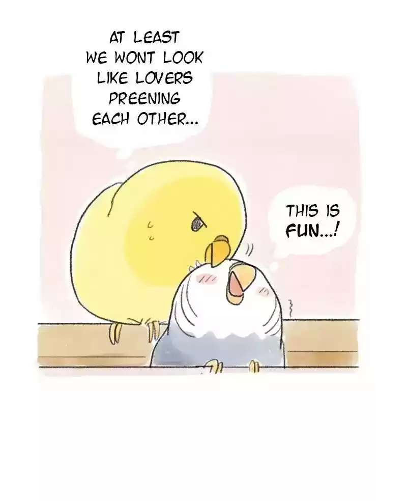 A Budgie's Life Chapter 59: Ep.59: