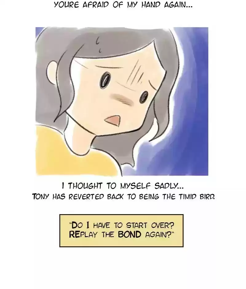 A Budgie's Life Chapter 6: Ep.6: