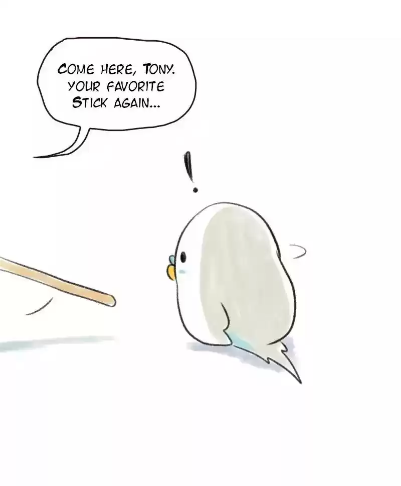 A Budgie's Life Chapter 6: Ep.6: