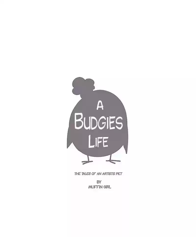 A Budgie's Life Chapter 6: Ep.6: