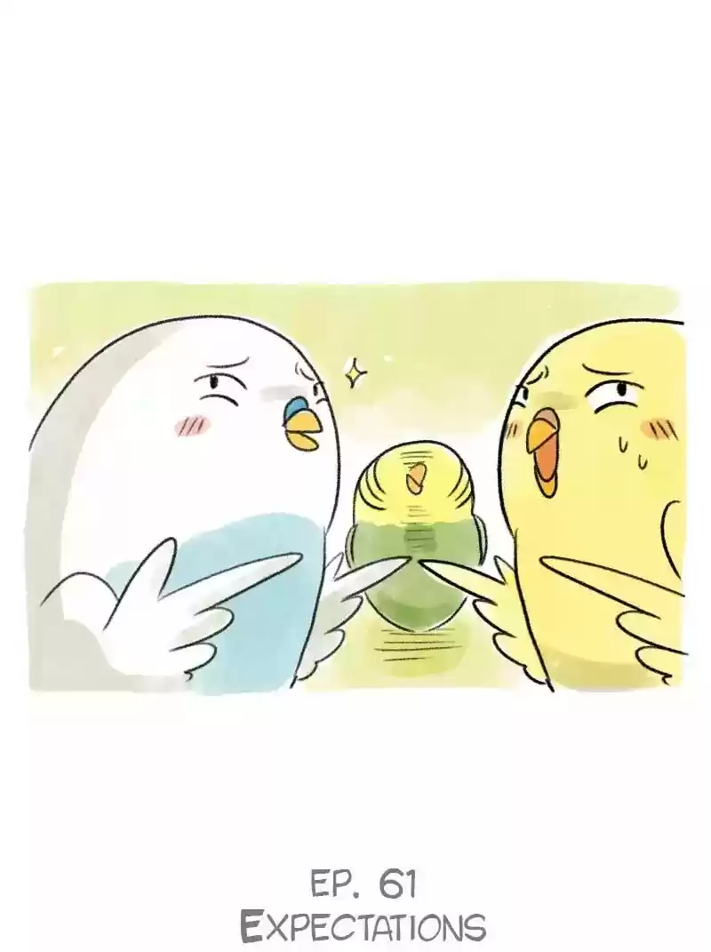 A Budgie's Life Chapter 61: Ep.61: