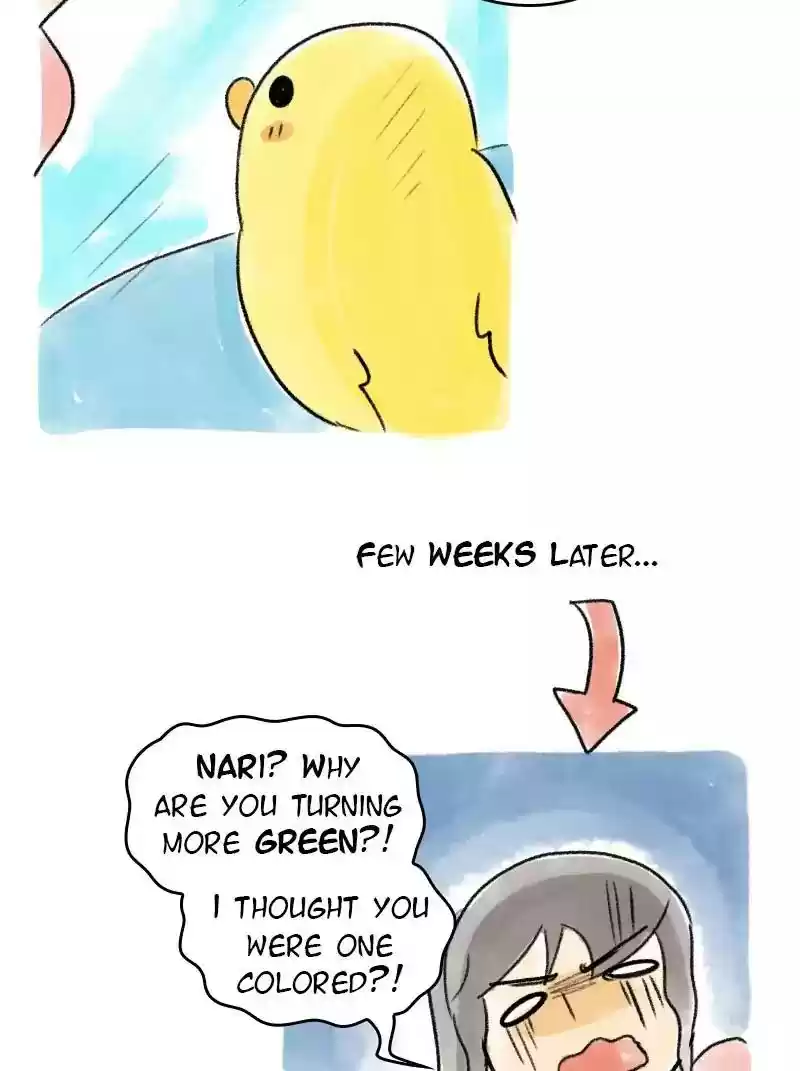 A Budgie's Life Chapter 61: Ep.61: