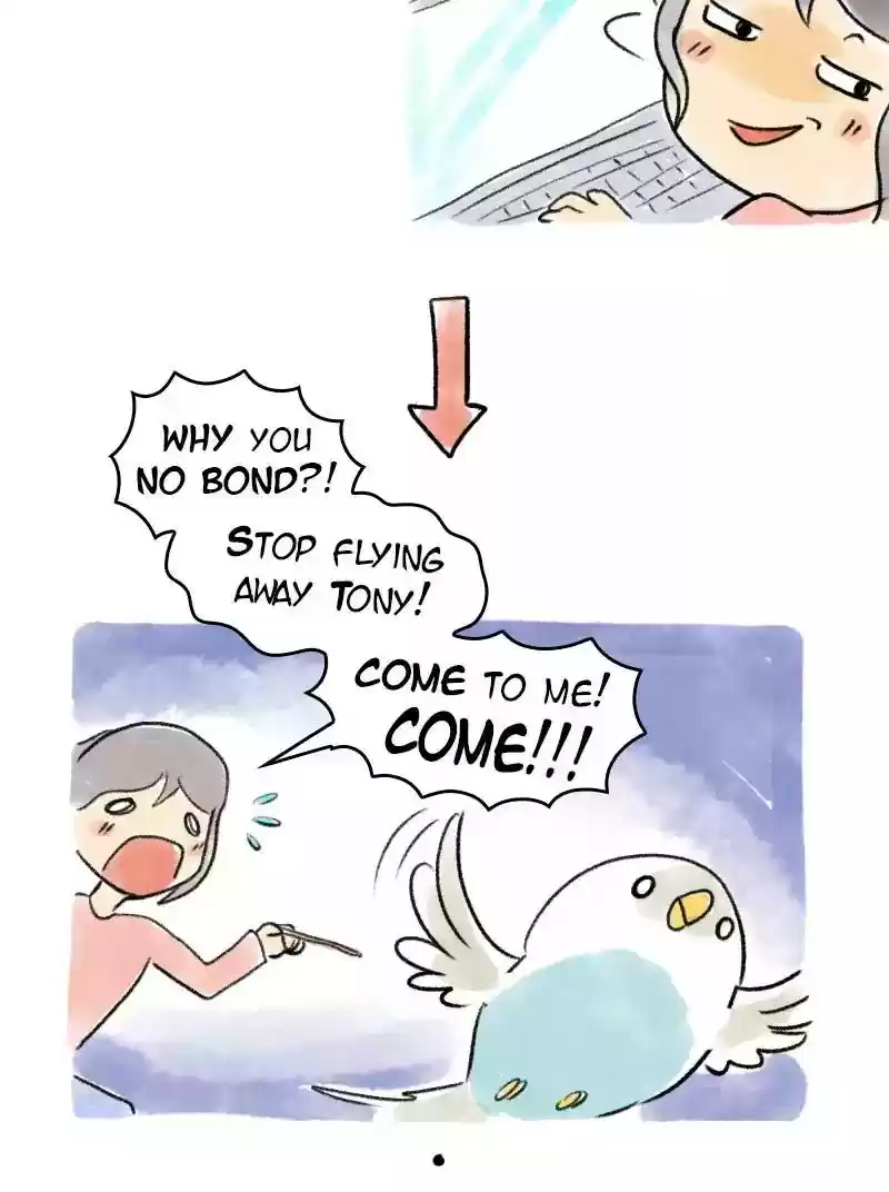 A Budgie's Life Chapter 61: Ep.61:
