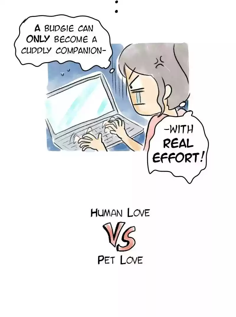 A Budgie's Life Chapter 61: Ep.61: