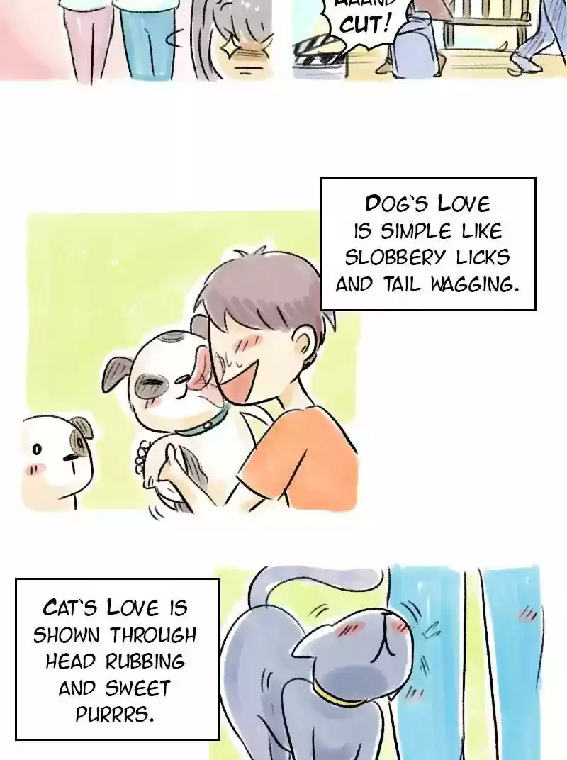 A Budgie's Life Chapter 61: Ep.61: