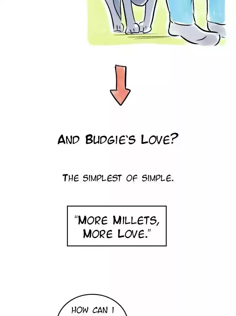 A Budgie's Life Chapter 61: Ep.61: