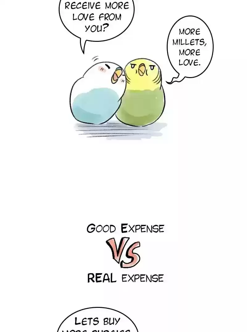 A Budgie's Life Chapter 61: Ep.61: