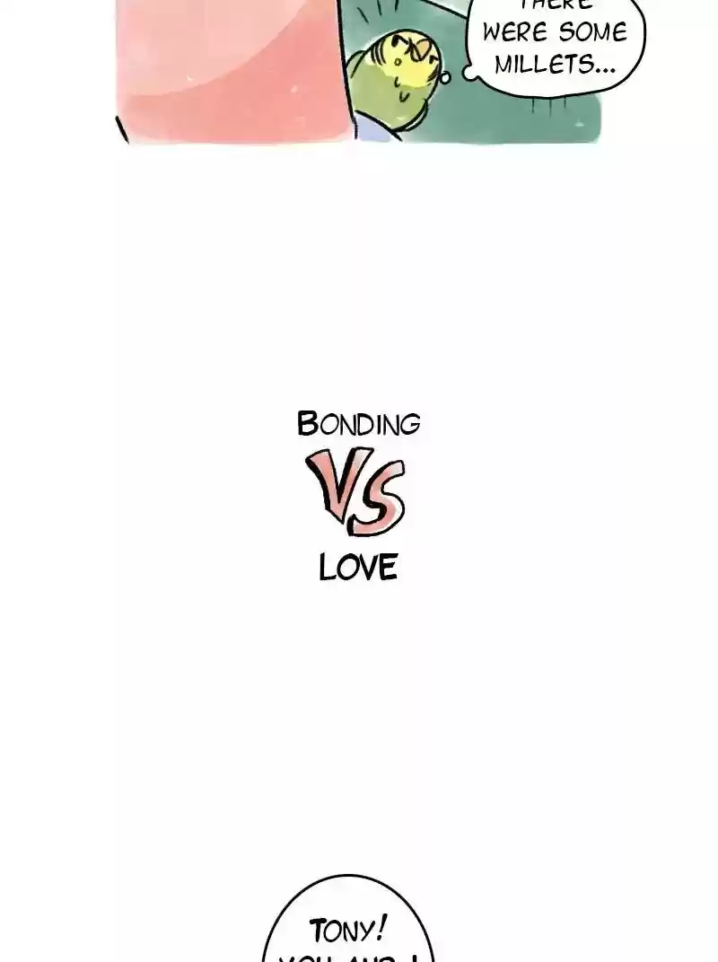 A Budgie's Life Chapter 61: Ep.61: