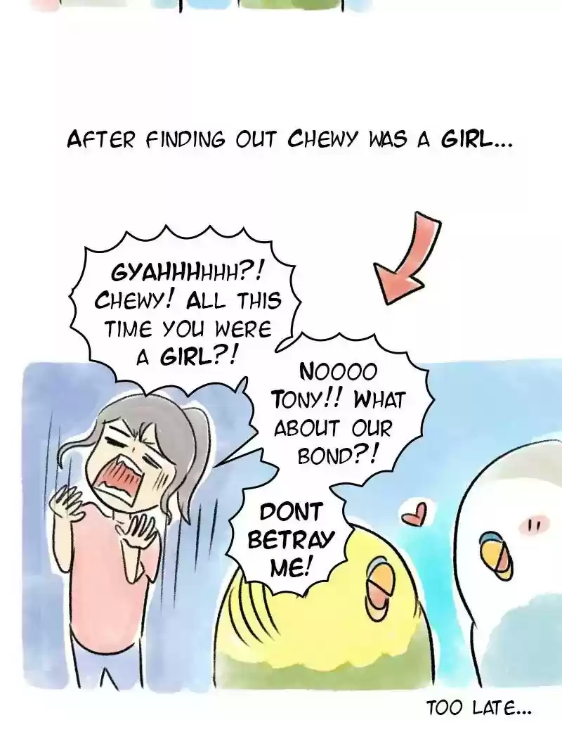 A Budgie's Life Chapter 61: Ep.61: