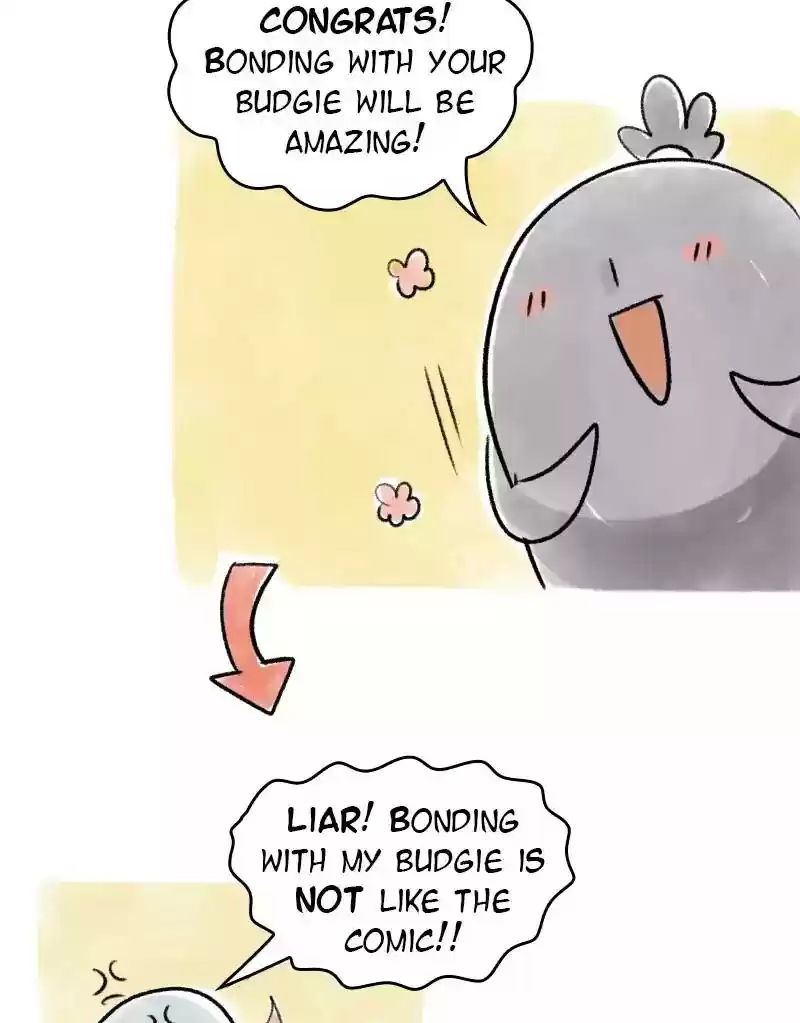 A Budgie's Life Chapter 61: Ep.61: