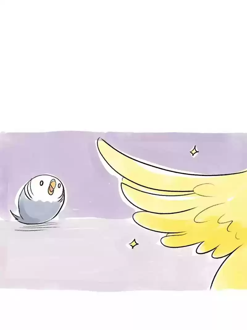 A Budgie's Life Chapter 62: Ep.62: