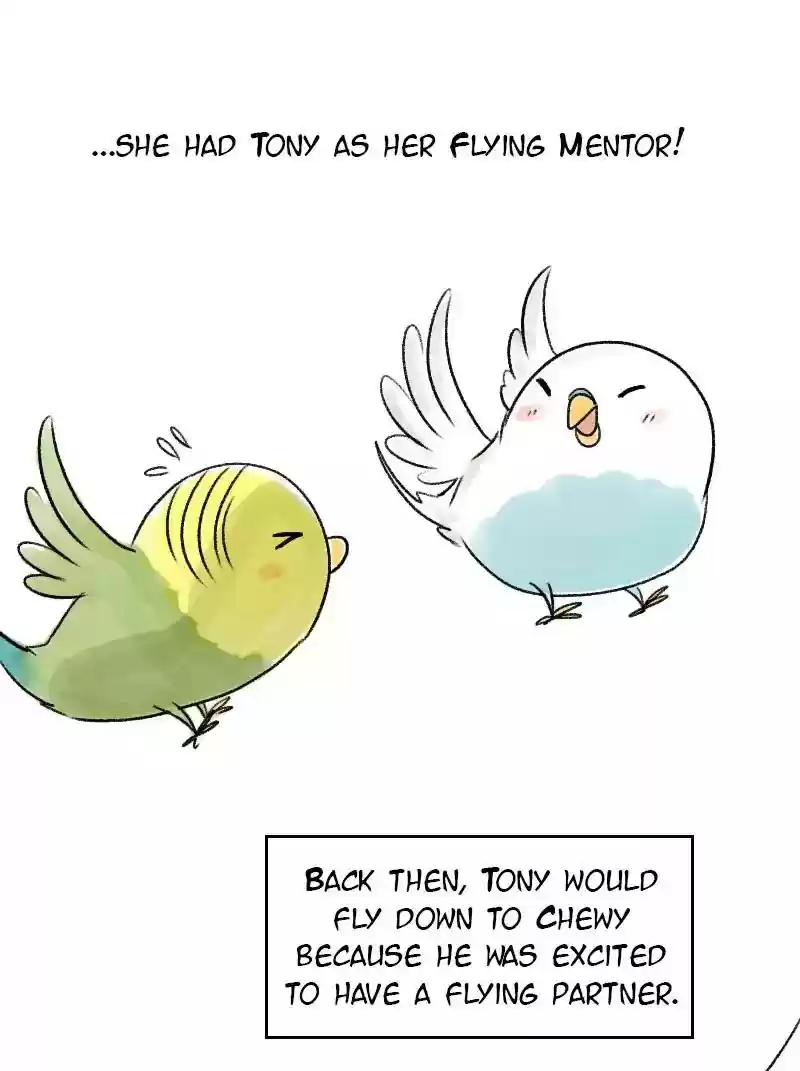 A Budgie's Life Chapter 62: Ep.62: