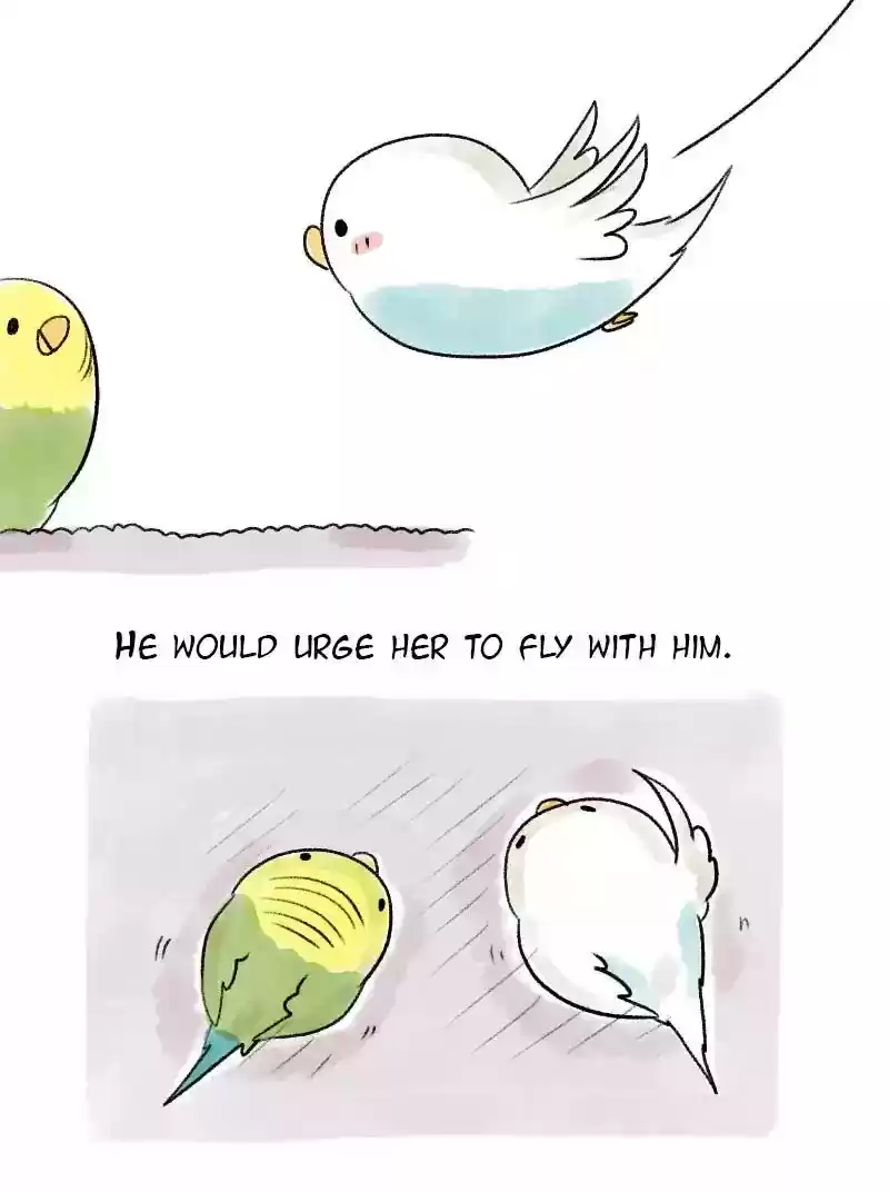 A Budgie's Life Chapter 62: Ep.62: