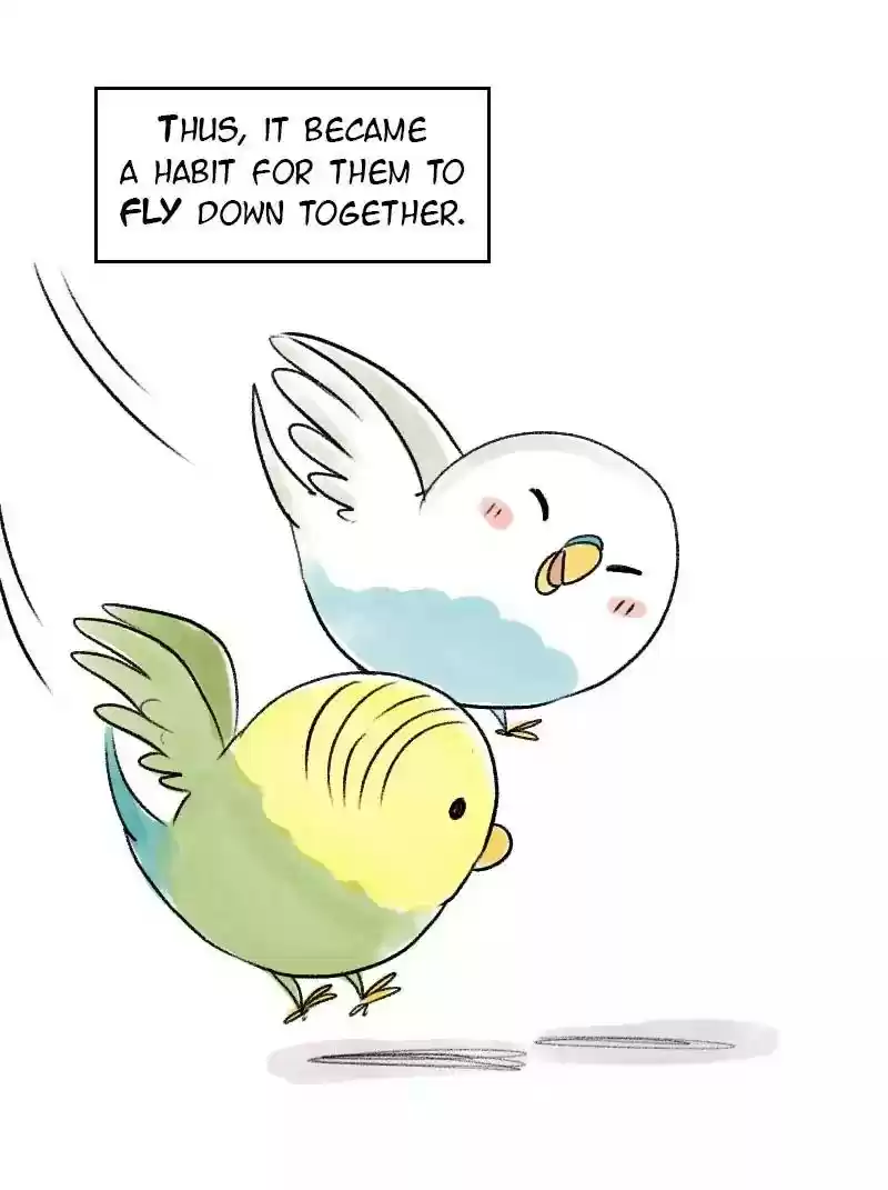 A Budgie's Life Chapter 62: Ep.62: