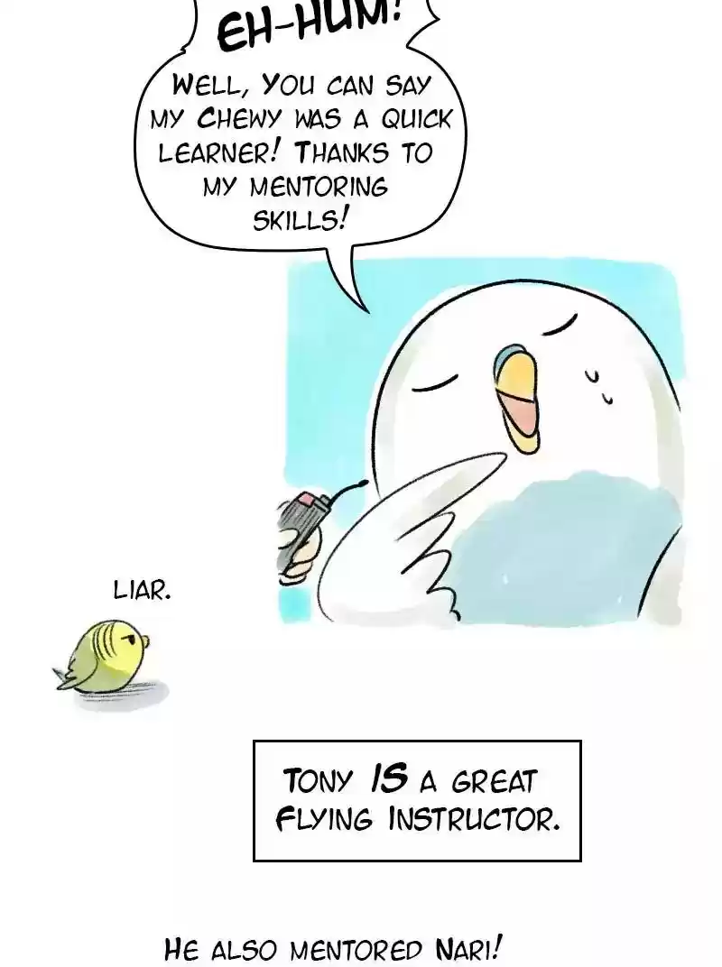 A Budgie's Life Chapter 62: Ep.62: