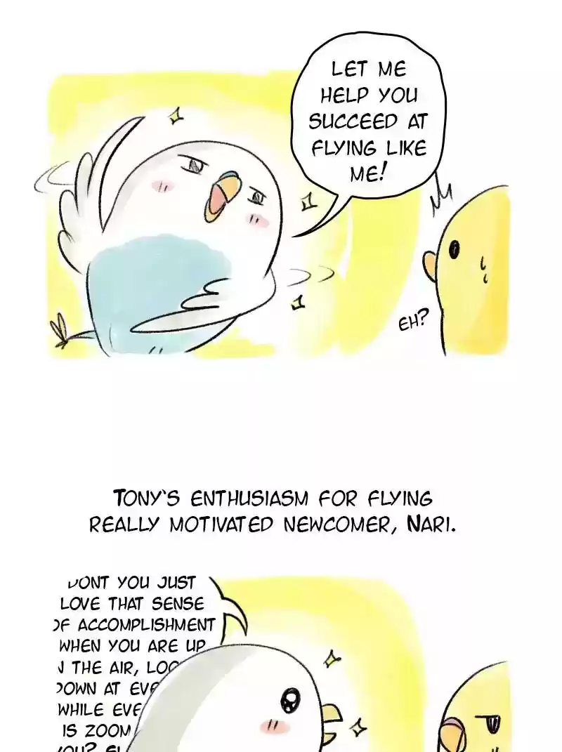 A Budgie's Life Chapter 62: Ep.62: