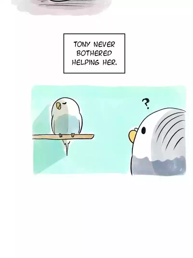 A Budgie's Life Chapter 62: Ep.62: