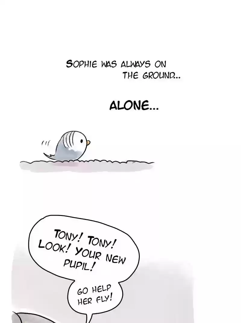 A Budgie's Life Chapter 62: Ep.62: