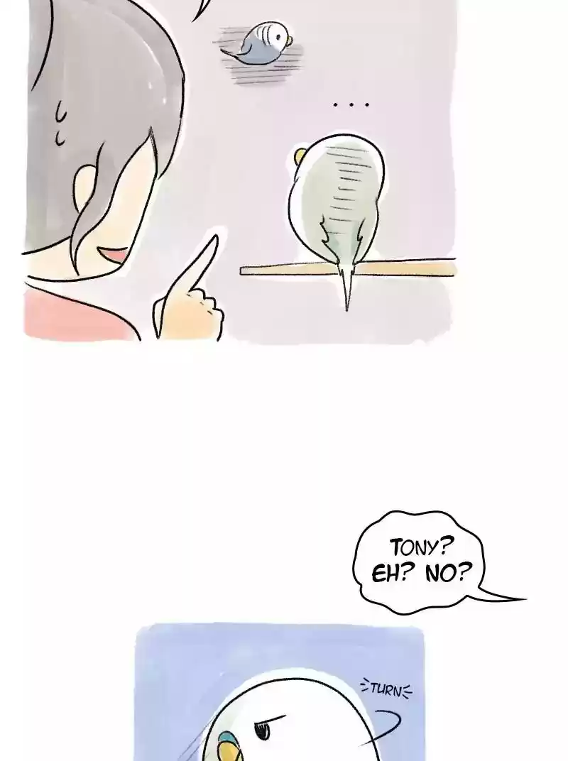 A Budgie's Life Chapter 62: Ep.62: