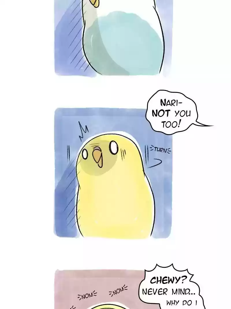 A Budgie's Life Chapter 62: Ep.62: