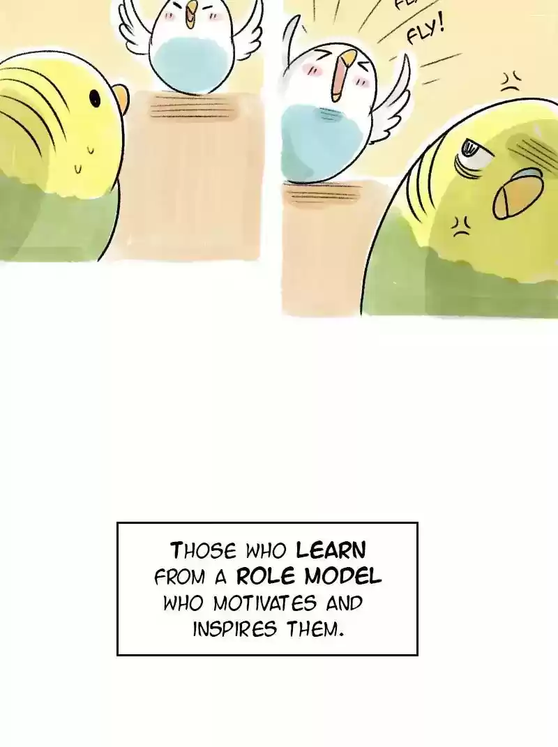 A Budgie's Life Chapter 62: Ep.62:
