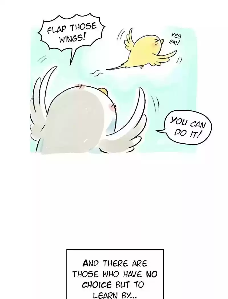 A Budgie's Life Chapter 62: Ep.62: