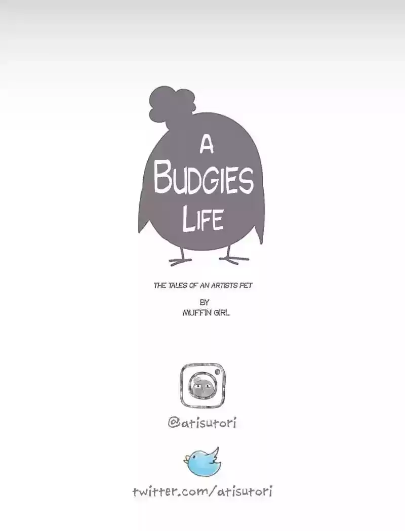 A Budgie's Life Chapter 62: Ep.62: