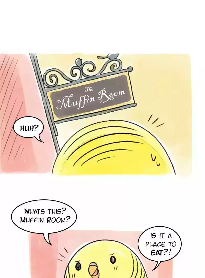 A Budgie's Life Chapter 63: Ep.63: