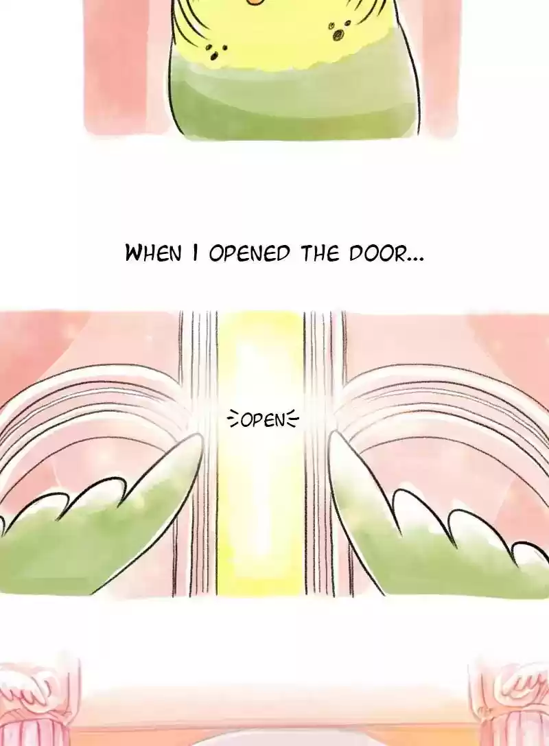 A Budgie's Life Chapter 63: Ep.63: