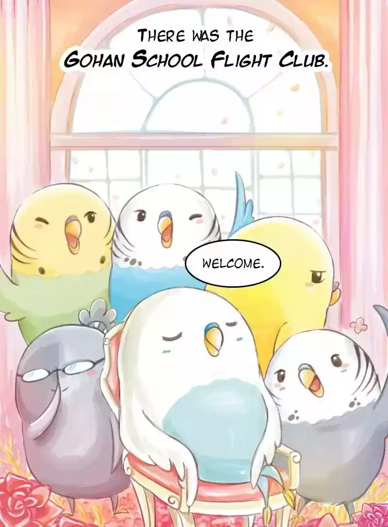 A Budgie's Life Chapter 63: Ep.63: