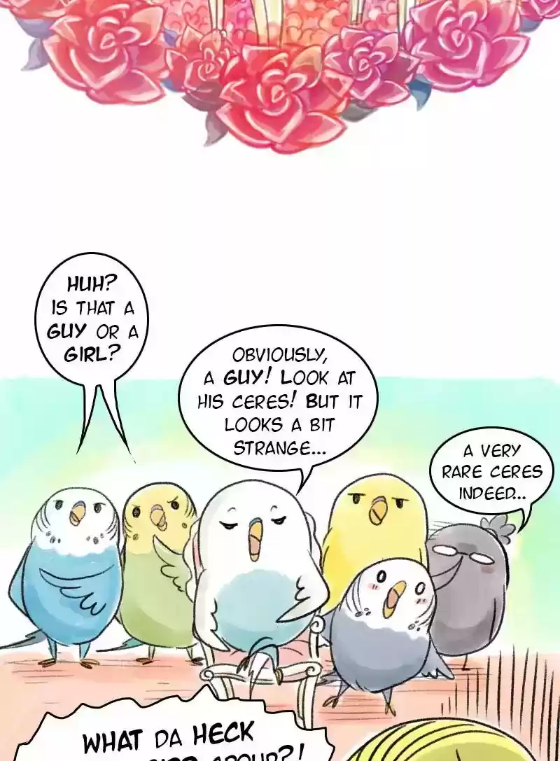 A Budgie's Life Chapter 63: Ep.63: