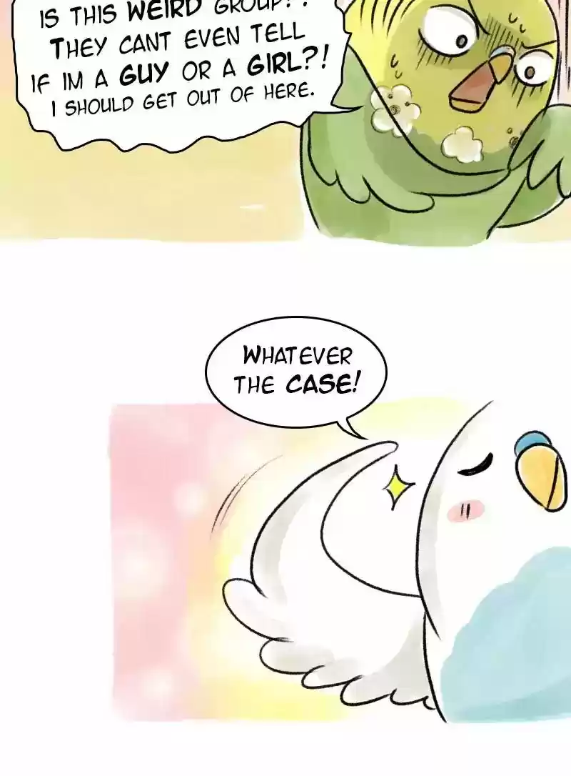 A Budgie's Life Chapter 63: Ep.63: