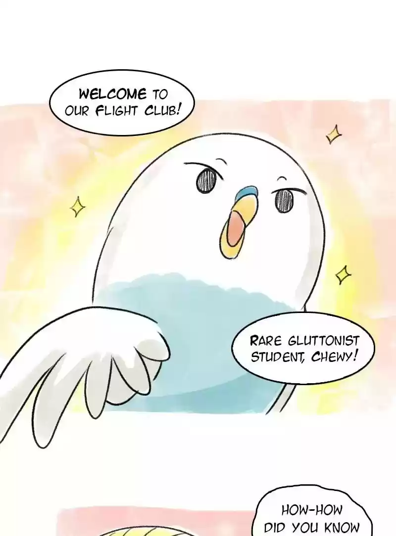 A Budgie's Life Chapter 63: Ep.63: