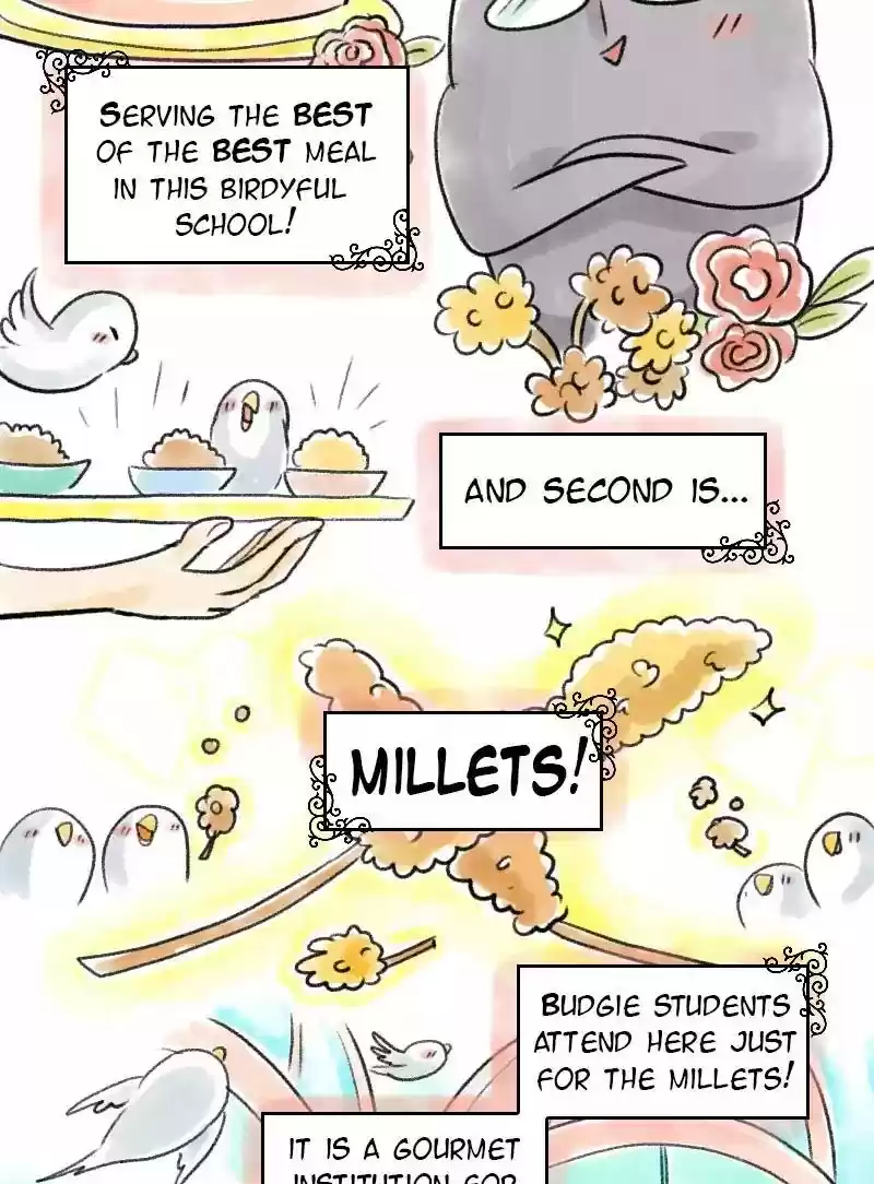 A Budgie's Life Chapter 63: Ep.63: